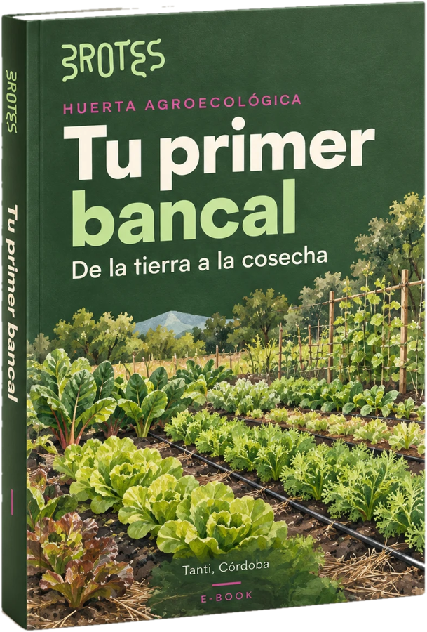 E-book Tu primer bancal